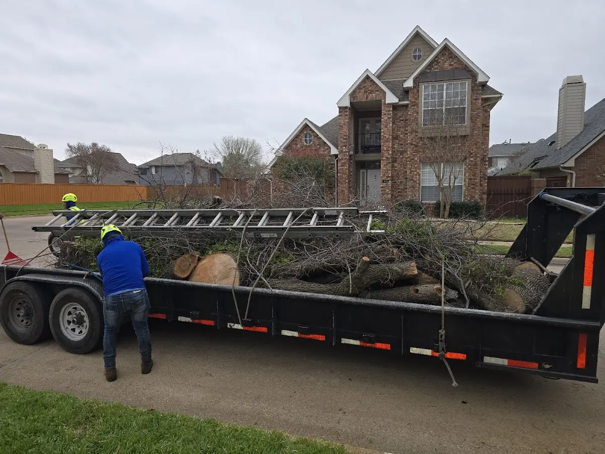 Expert Tree Fertilization with proper safety equipment in Fayette